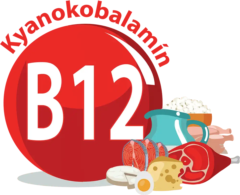 Kyanokobalamín, vitamín B12, je dôležitý pri delení buniek, raste a vývoji orgánov plodu