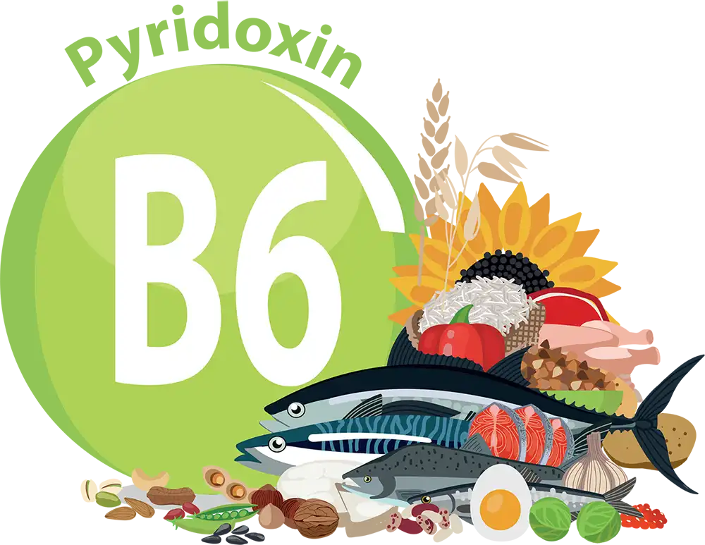 Pyridoxin, vitamín B6, zabezpečuje lepšie využitie proteínov, ktorých potrebe v čase tehotenstva rastie